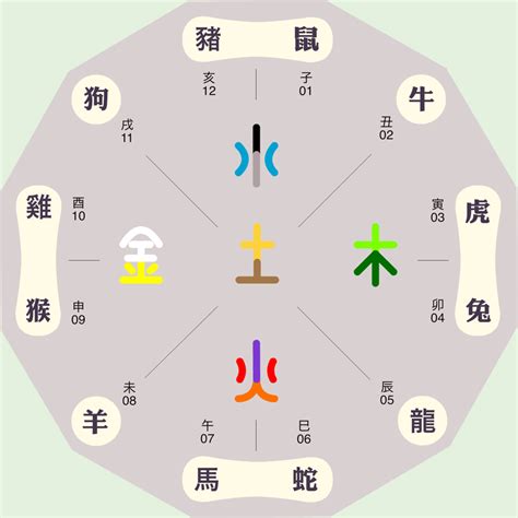 未五行|八字十二地支詳解——未